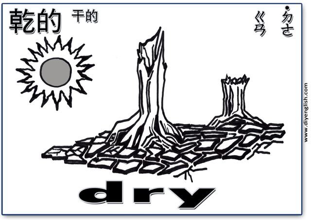 dry – Chinese & English flashcard