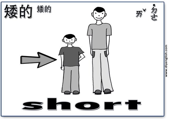 short – Chinese & English flashcard