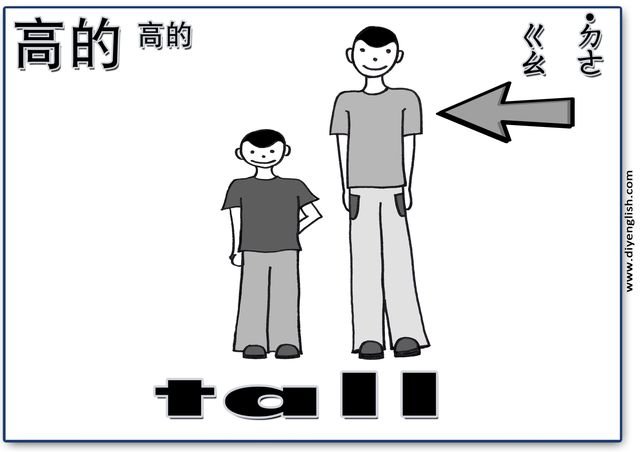 tall – Chinese & English flashcard