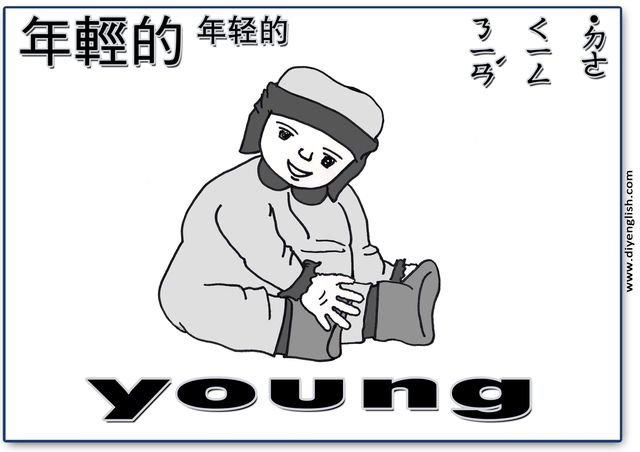 young – Chinese & English flashcard