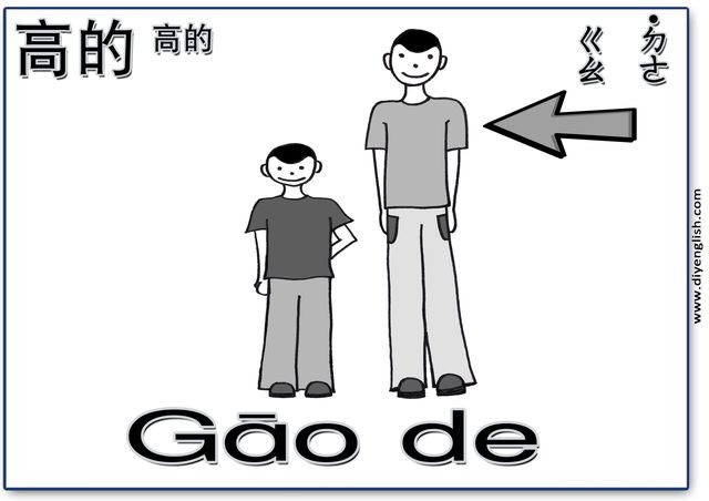 tall – Chinese & Pinyin flashcard