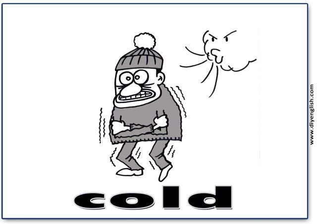 cold – English word flashcard