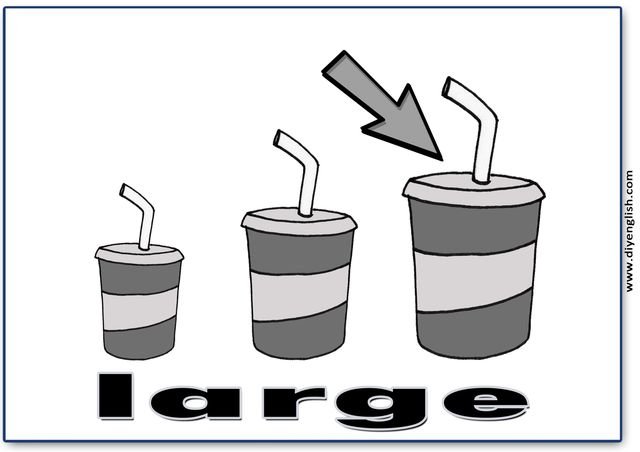 large – English word flashcard