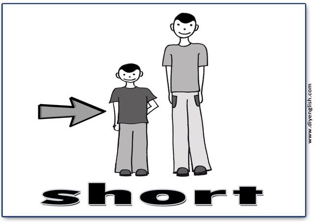 short – English word flashcard