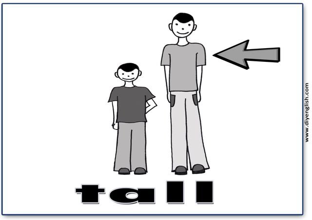 tall – English word flashcard