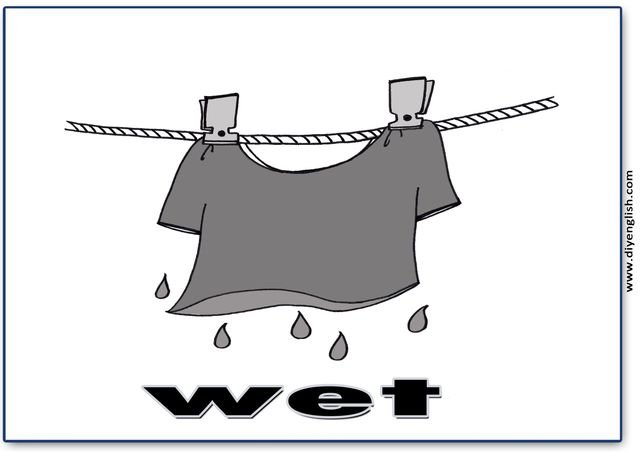 wet – English word flashcard
