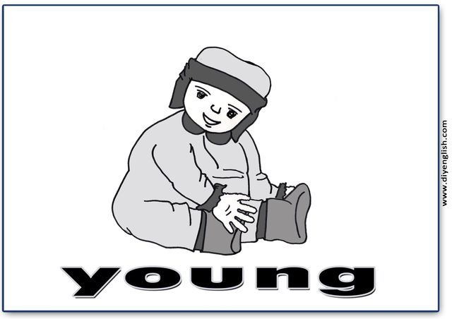 young – English word flashcard