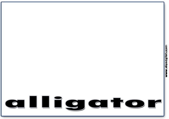 alligator – Blank – colour & write flashcard