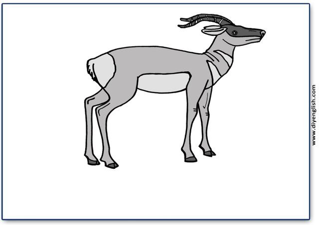 antelope – Blank – colour & write flashcard