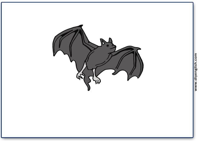 bat – Blank – colour & write flashcard