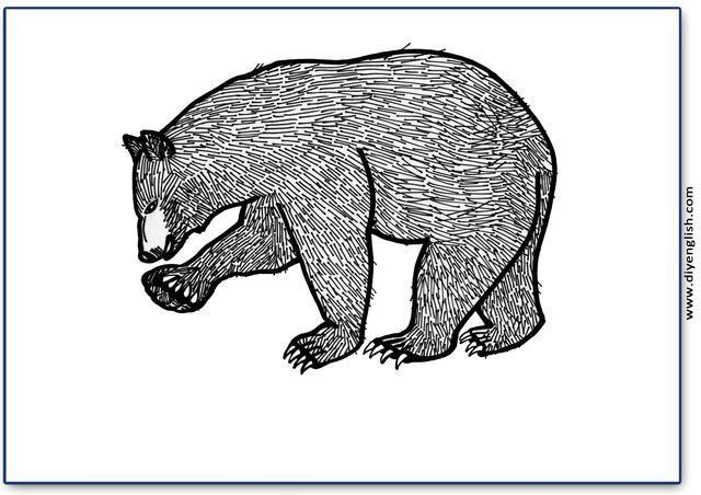 bear – Blank – colour & write flashcard