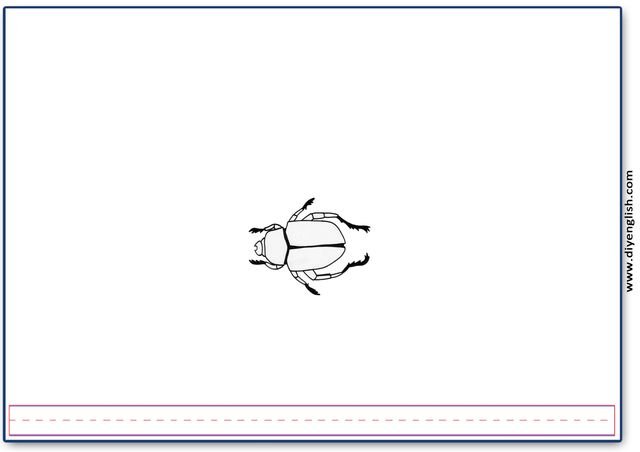 beetle – Blank – colour & write flashcard
