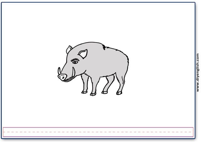 boar – Blank – colour & write flashcard