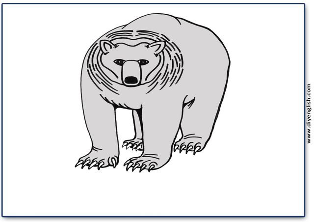 brown bear – Blank – colour & write flashcard