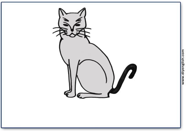 cat – Blank – colour & write flashcard