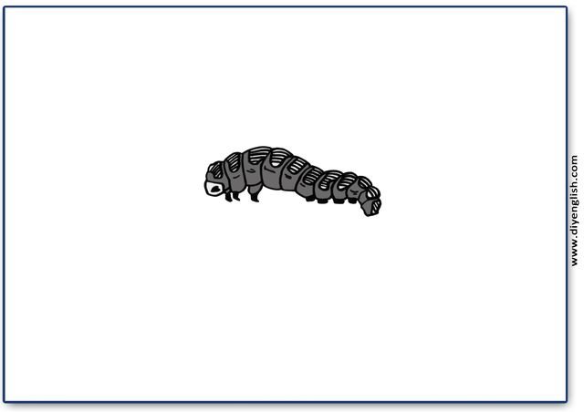 caterpillar – Blank – colour & write flashcard