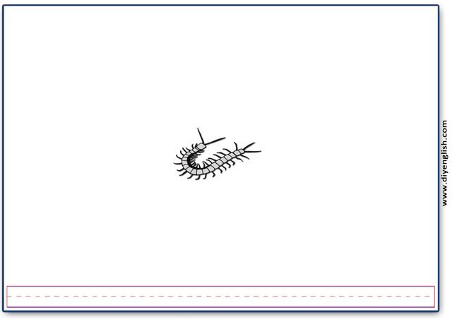 centipede – Blank – colour & write flashcard