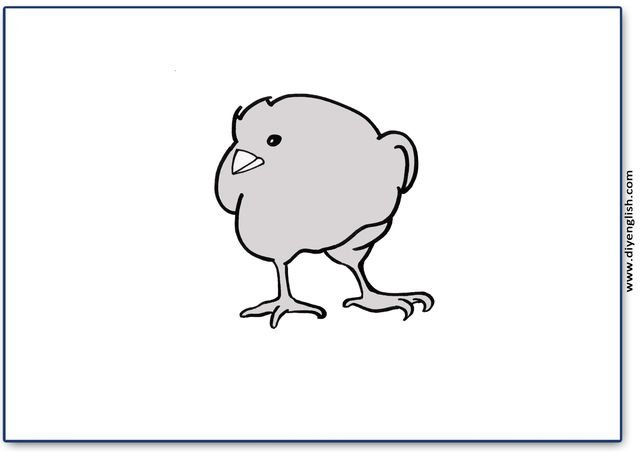 chick – Blank – colour & write flashcard