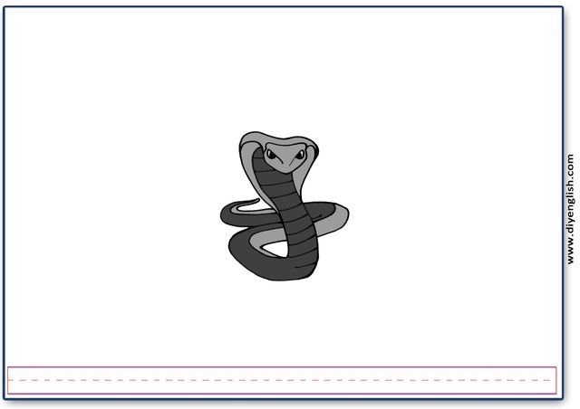 cobra – Blank – colour & write flashcard