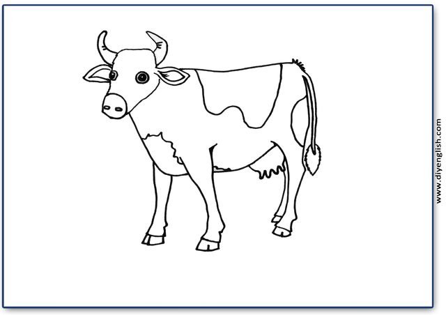 cow – Blank – colour & write flashcard