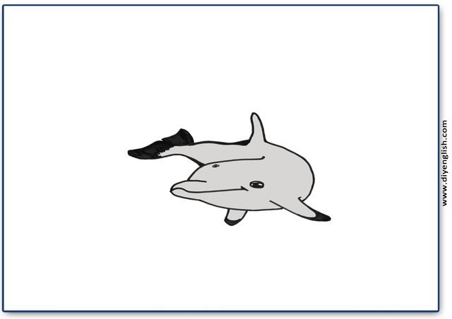 dolphin – Blank – colour & write flashcard