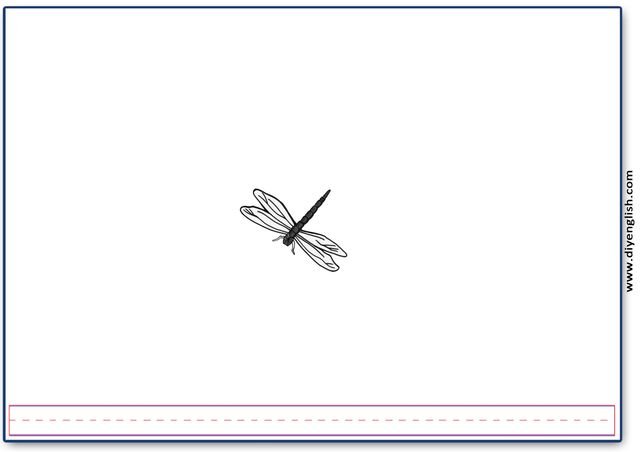 dragonfly – Blank – colour & write flashcard