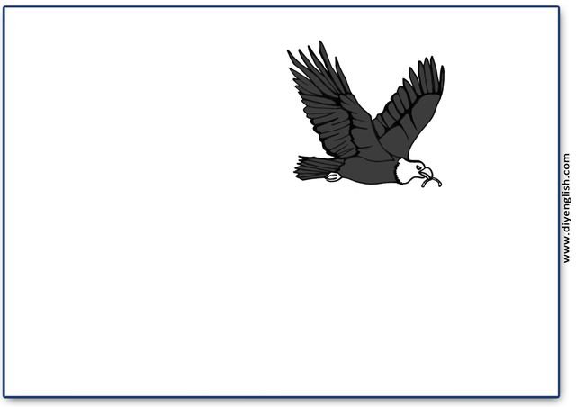 eagle – Blank – colour & write flashcard