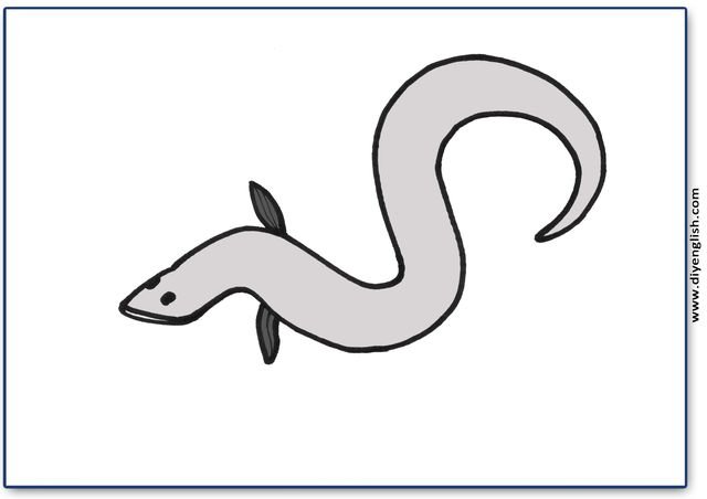 eel – Blank – colour & write flashcard