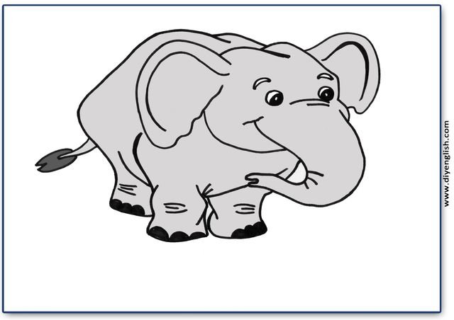 elephant – Blank – colour & write flashcard