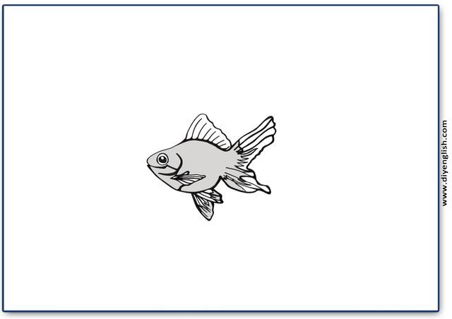 fish – Blank – colour & write flashcard