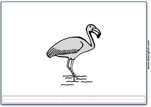 flamingo – Blank – colour & write flashcard