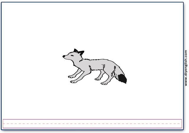 fox – Blank – colour & write flashcard