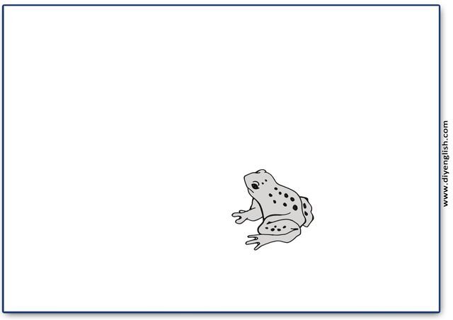 frog – Blank – colour & write flashcard