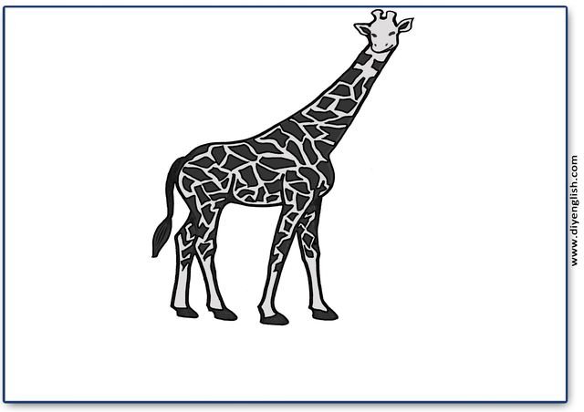 giraffe – Blank – colour & write flashcard