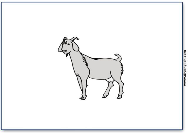 goat – Blank – colour & write flashcard