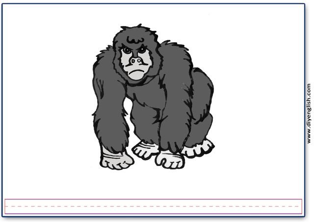 gorilla – Blank – colour & write flashcard