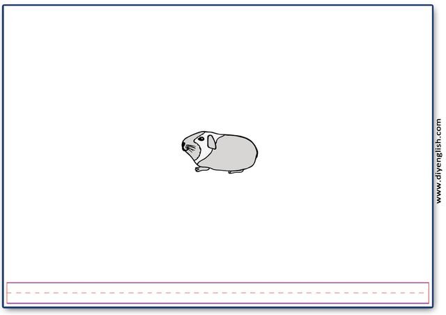 guinea pig – Blank – colour & write flashcard