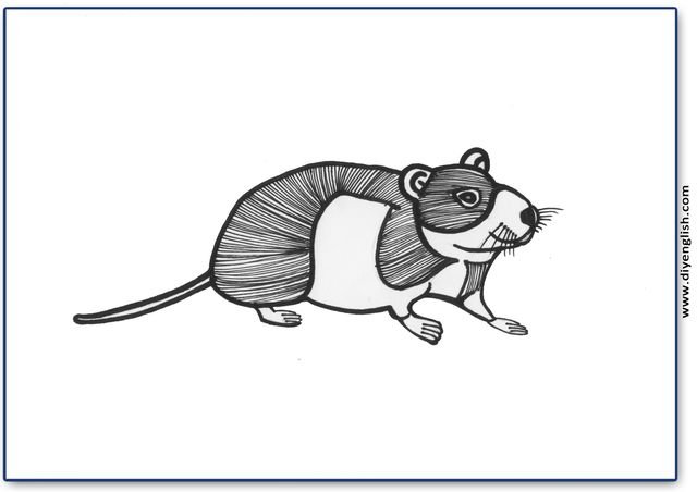 hamster – Blank – colour & write flashcard