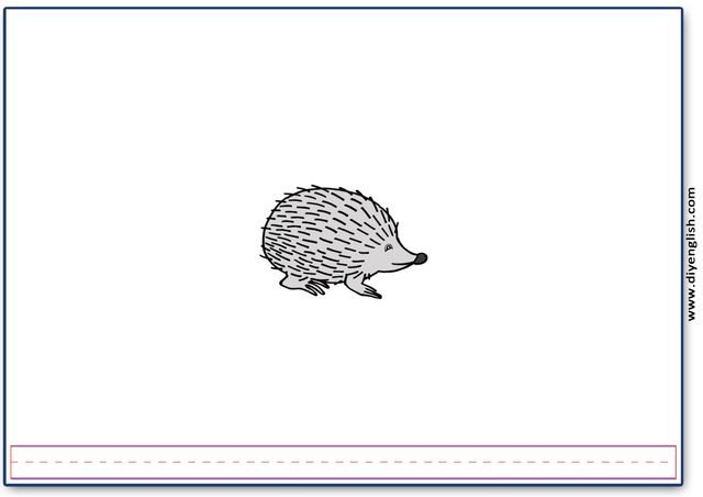 hedgehog – Blank – colour & write flashcard