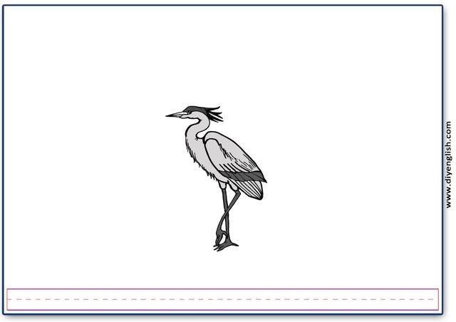 heron – Blank – colour & write flashcard