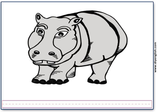 hippo – Blank – colour & write flashcard
