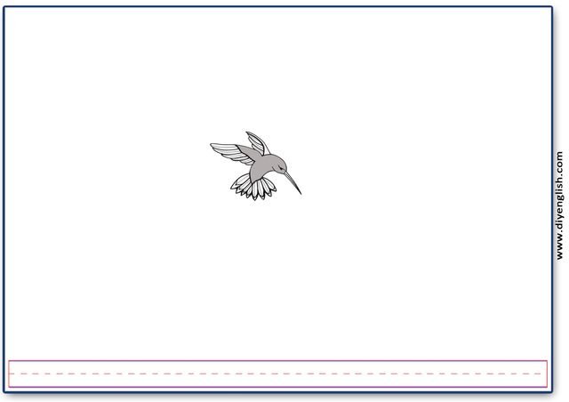 hummingbird – Blank – colour & write flashcard