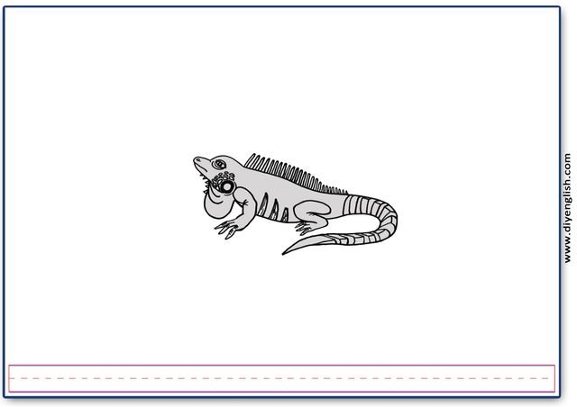 iguana – Blank – colour & write flashcard