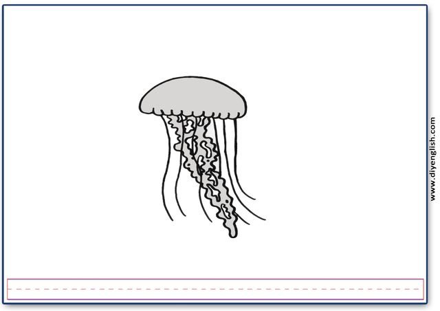 jellyfish – Blank – colour & write flashcard
