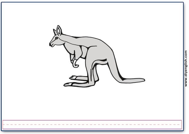 kangaroo – Blank – colour & write flashcard