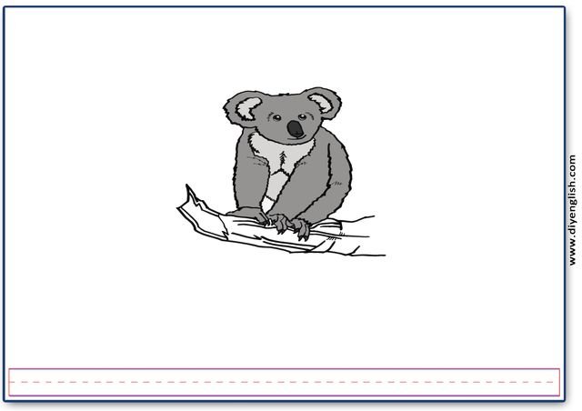 koala – Blank – colour & write flashcard