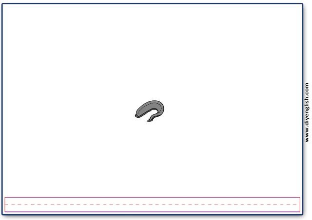leech – Blank – colour & write flashcard
