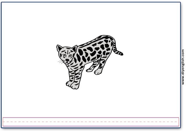 leopard – Blank – colour & write flashcard