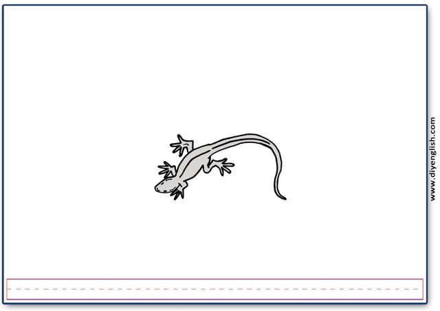 lizard – Blank – colour & write flashcard