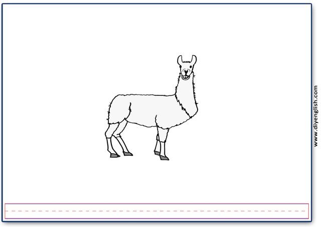 llama – Blank – colour & write flashcard